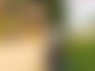 Palworld Kadim Teknoloji Puanları Nasıl Alınır?