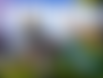 Bir Fortnite Tarih Kitabı İstiyorum