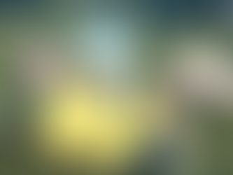 Palworld Tüm Yaban Hayatı Koruma Alanı Konumları