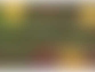 RimWorld: Baskıncılara Karşı Nasıl Savunma Yapılır?