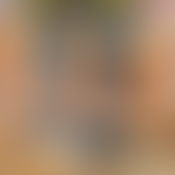 Yeni Steam Oyunu, Stardew Valley ile The Legend of Zelda'nın Buluşması Gibi