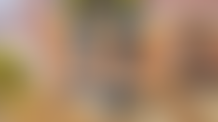 Yeni Steam Oyunu, Stardew Valley ile The Legend of Zelda'nın Buluşması Gibi