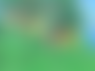 Animal Crossing New Horizons İlk Hafta Çözüm Yolu