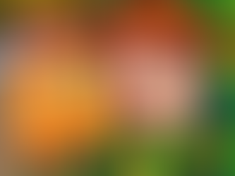 Stardew Valley: Ödül Makinesi Nasıl Kullanılır?