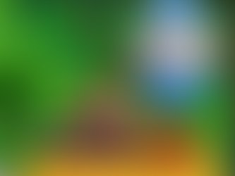 Stardew Valley: Kitapçı Nasıl Bulunur?