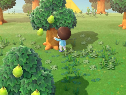 Animal Crossing New Horizons - Ağaçları Sulamanız Gerekiyor mu?