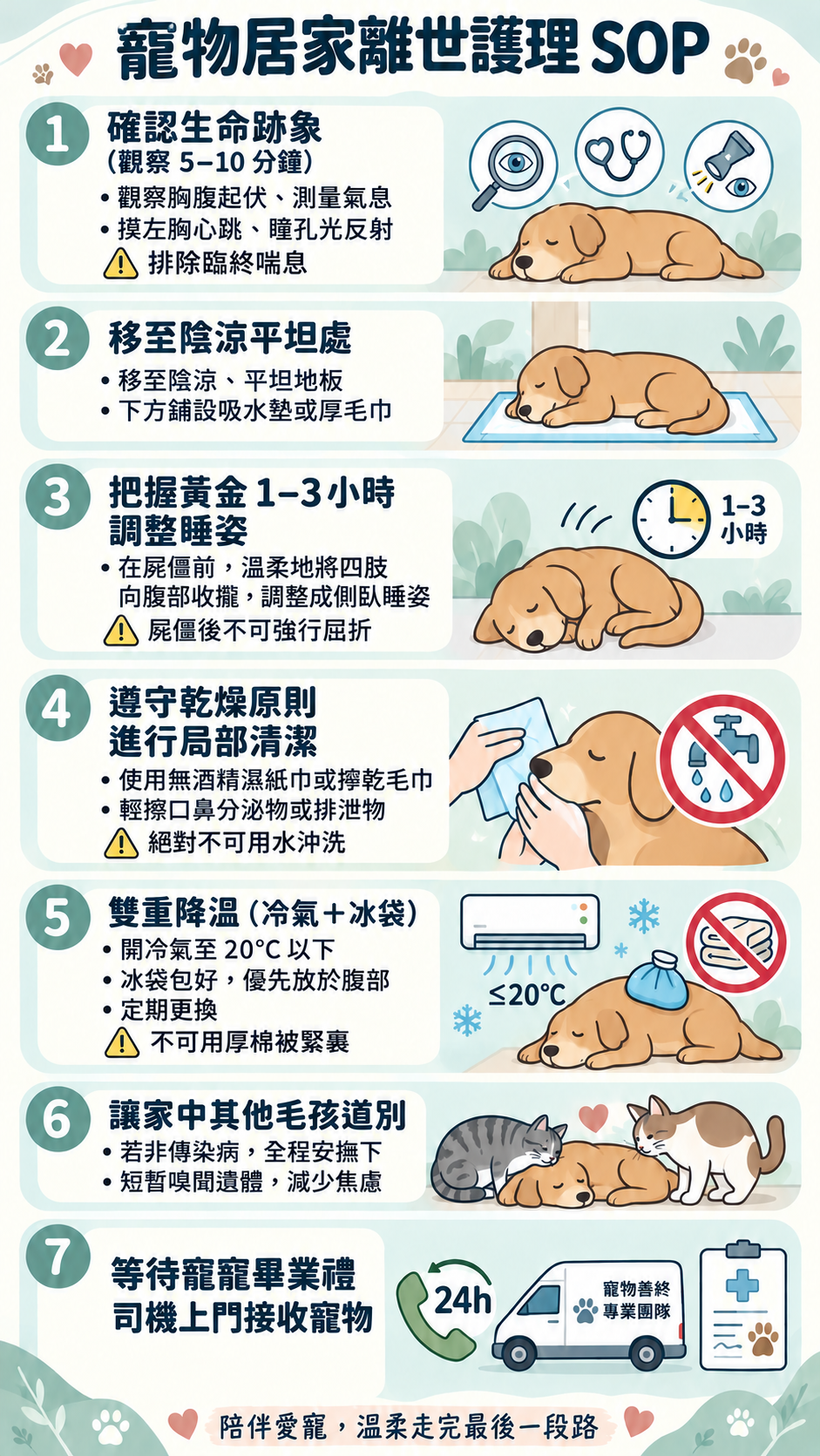 香港寵物善終指南|毛孩去世後的 7 個處理步驟|寵寵畢業禮 寵物水化