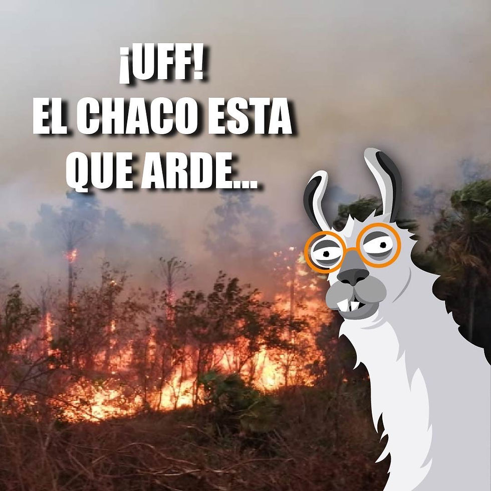 ree