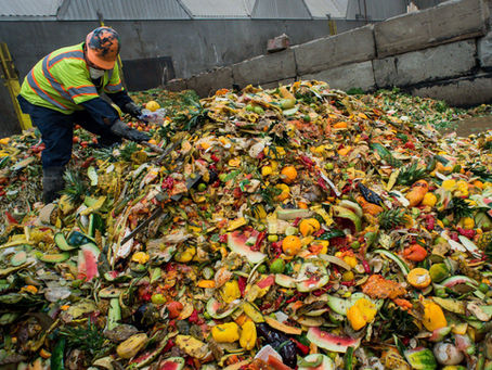 Developing Food Waste Reduction Strategies: A Green Skill Shaping the Future of Sustainable Business
