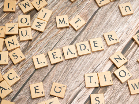 Private equity due diligence and leadership assessment
