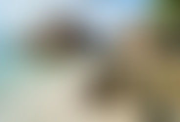 Seychelles, petit paradis de l'océan Indien