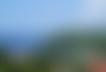 Sous le soleil de Martinique