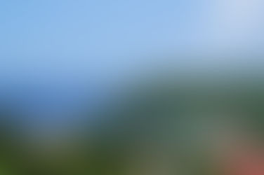 Sous le soleil de Martinique