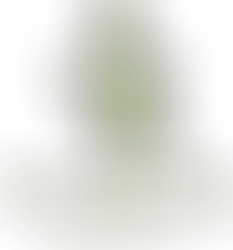 [記者発表]よこすかルートミュージアム周遊促進事業奨励金　採択事業がスタート【横須賀市】