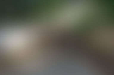 [歴飯_175]古民家Cafe×Beer 花やしき