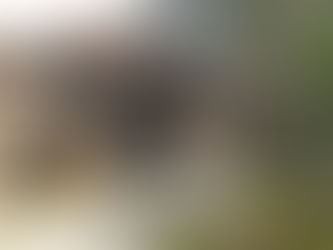 [歴飯_87]去来庵【閉店】