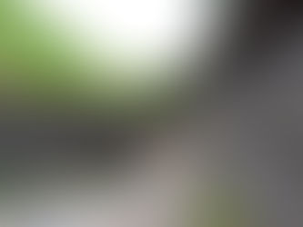 [レポート]千代ヶ崎砲台跡の一般公開【横須賀市】