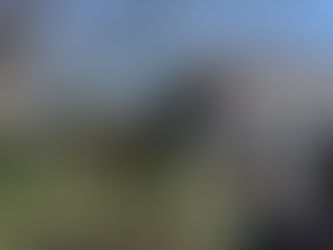 [歴飯_146]えの木てい本店