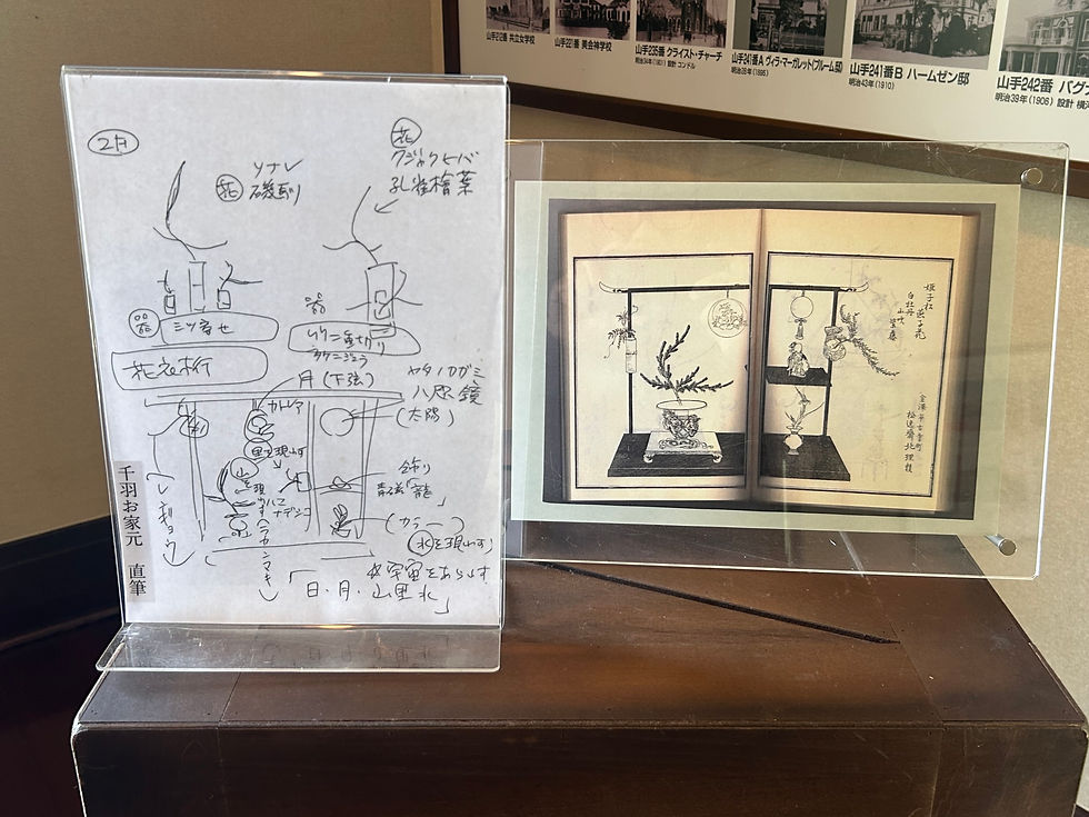 家元直筆のスケッチと江戸時代の図譜の写し