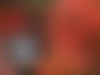 [イベント]横浜・三溪園　紅葉の遊歩道開放～古建築と紅葉が織りなす絶景～【三溪園】