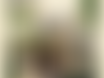  [記事紹介]歴史を生かしたまちづくり横濱新聞 第37号【横浜市】