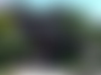 [歴飯_100]だるま料理店