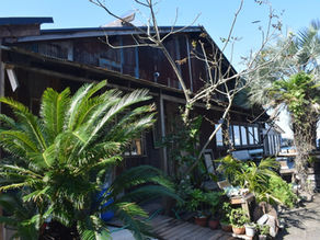 [歴飯_82]かねよ食堂