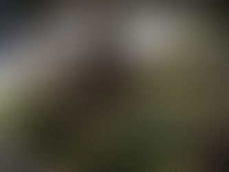 [イベント]三琴堂 三線教室 第一回「第一期生発表会」【古民家HUG】