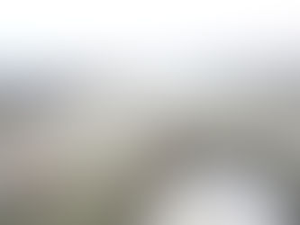  [開港５都市]景観まちづくり会議2022新潟大会 - 09 分科会５「水辺景観を活かしたにぎわい空間を創出する都市未来像」【THE HERITAGE TIMES YOKOHAMA KANAGAWA】