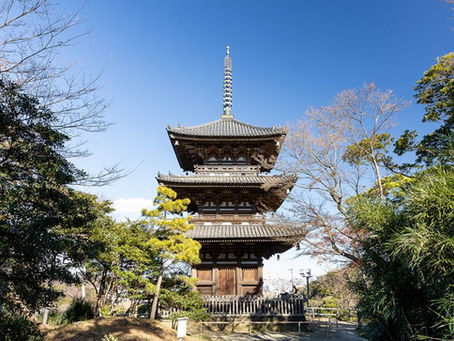 [記者発表]本牧の丘から横浜の街を見守る　三溪園のシンボル「重要文化財旧燈明寺三重塔」保存プロジェクト始動！（７月10日～）【三溪園】