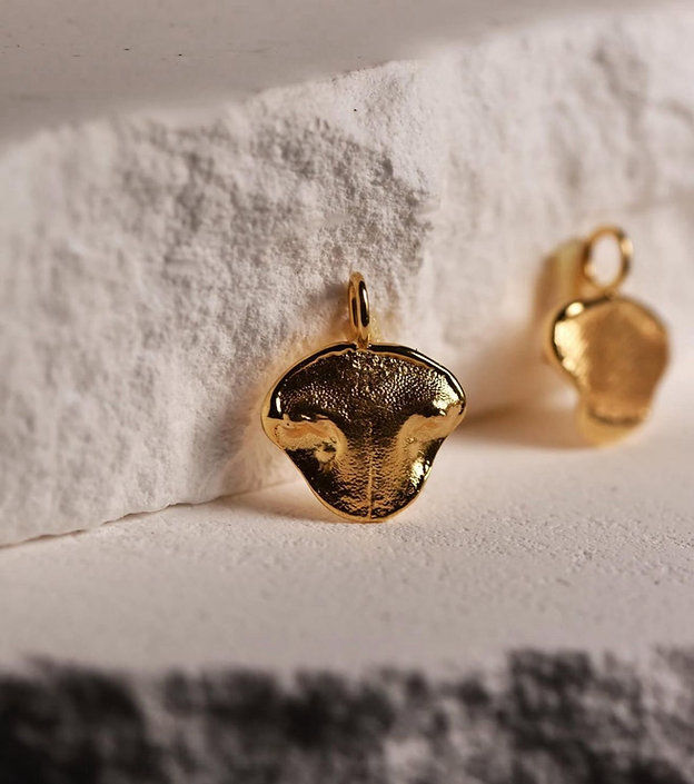 縮圖：寵物鼻紋紀念品-銀飾