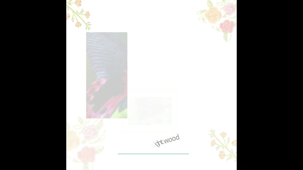 Thumbnail: Black Blue Pink Butterflies - framed prints