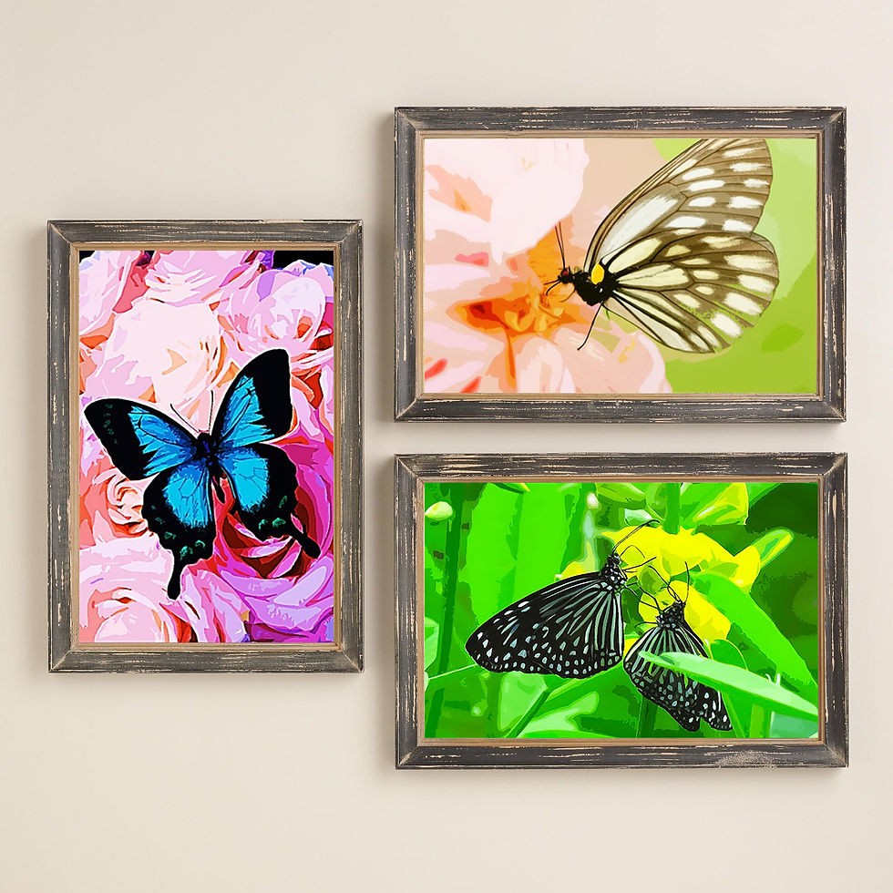 Thumbnail: Framed prints of butterflies