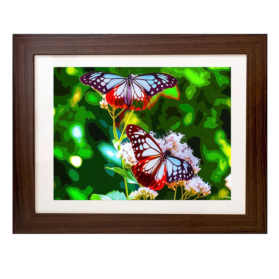 Thumbnail: Framed prints of butterflies