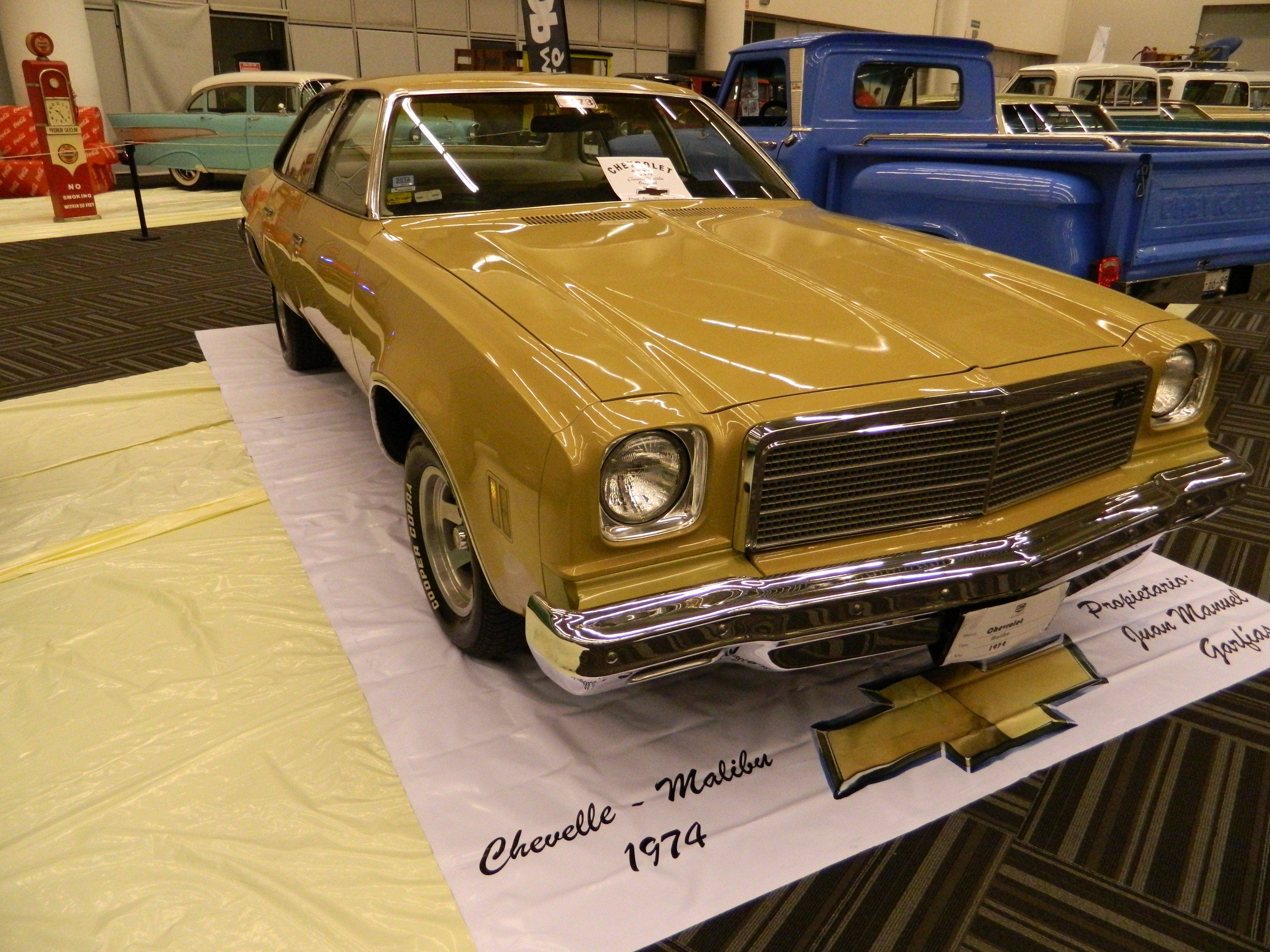 chevelle garfias