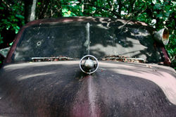 Hood Ornament