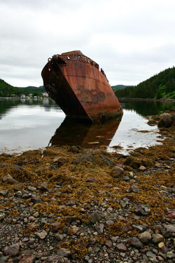 Ghost Ship