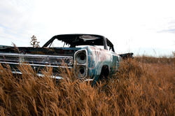 Rust in Peace
