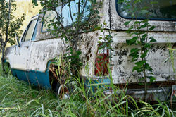 Hiding in Plain Sight