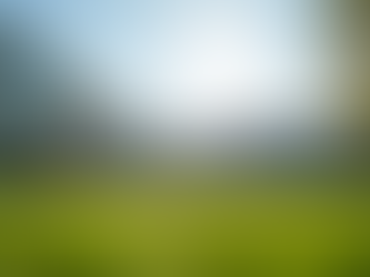 Top Private Schools Available Near You