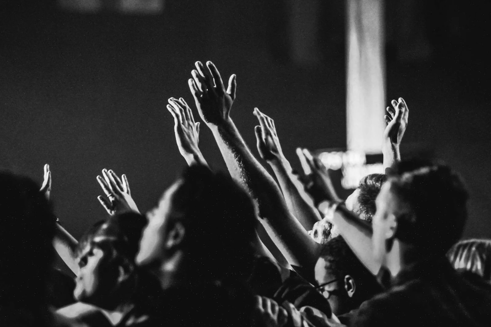 audience.webp