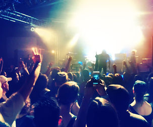 Concert Crowd