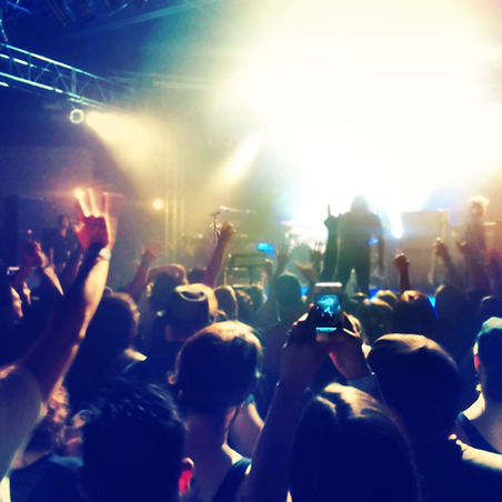 Concert Crowd