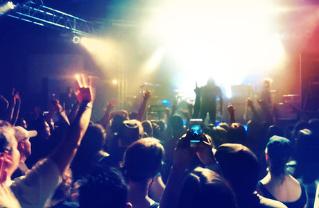 Concert Crowd