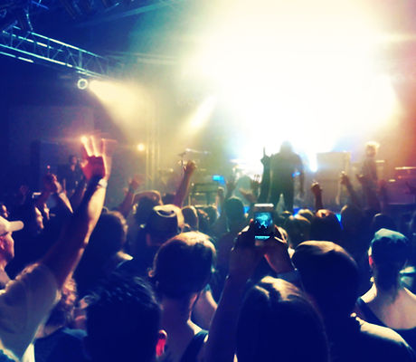 Concert Crowd