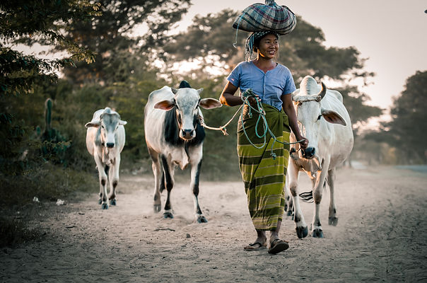 nalaka-daundaratne-nanura-market-women-cattle-women-entrepreneur.jpg