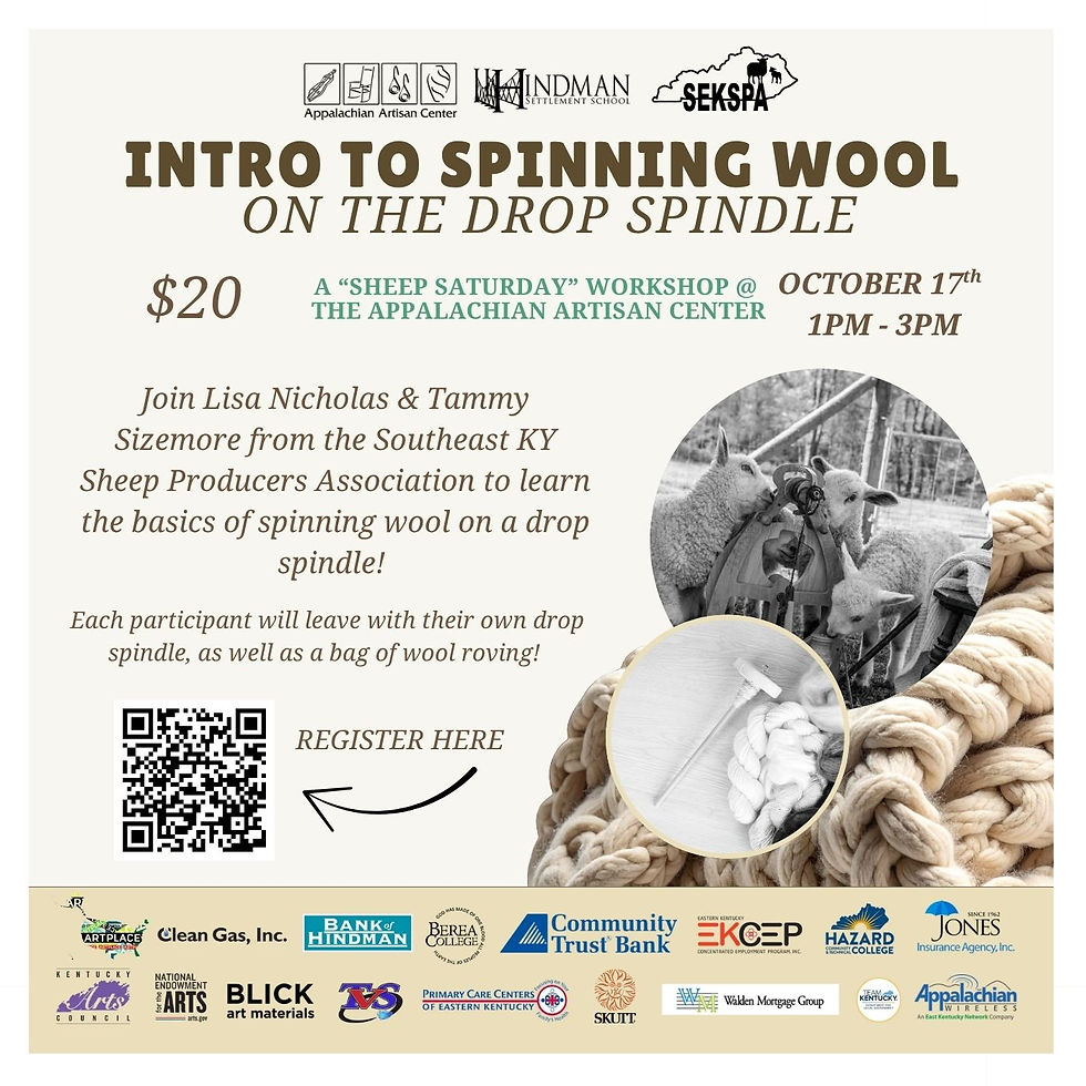 Intro to Spinning Wool on the Drop Spindle