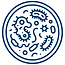AM (21).png