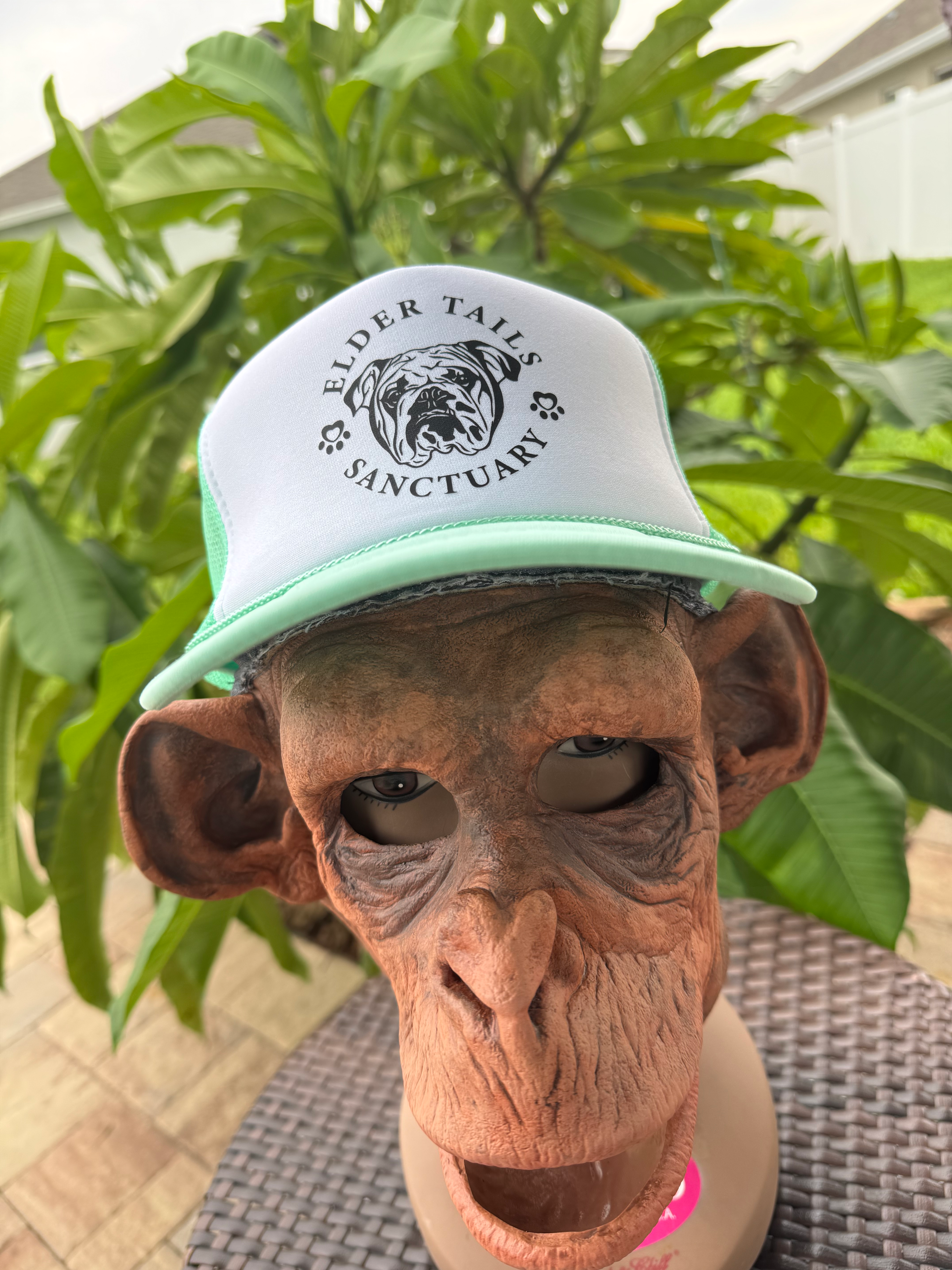 copy of Elder Tails Trucker Hat