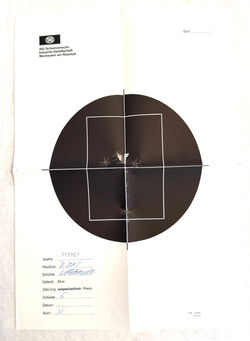 Sig - P210 (Pair)